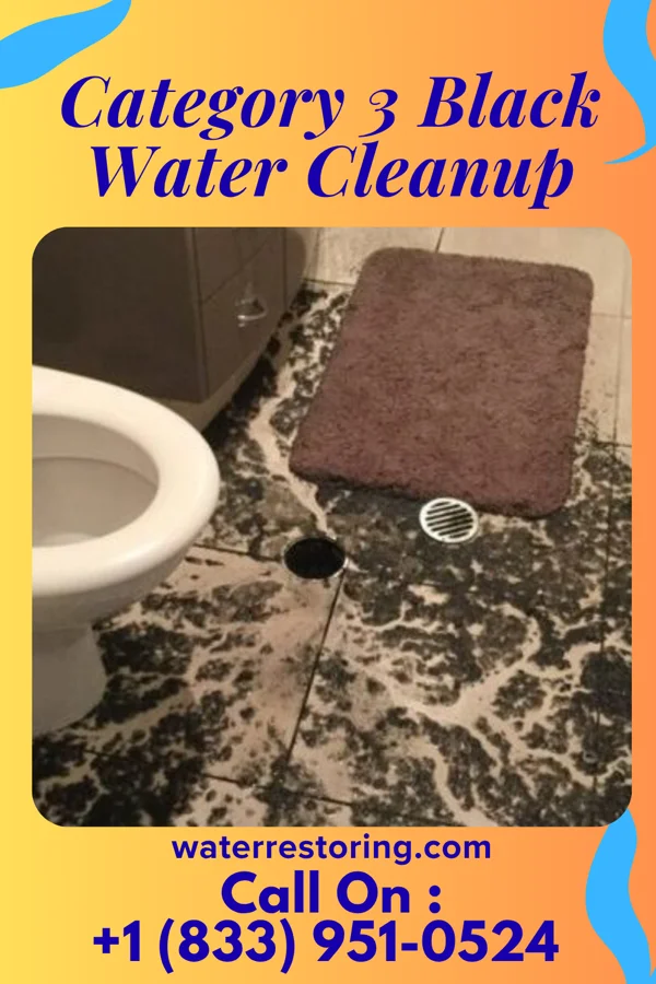 Category 3 Black Water Cleanup in Cottonwood, ID