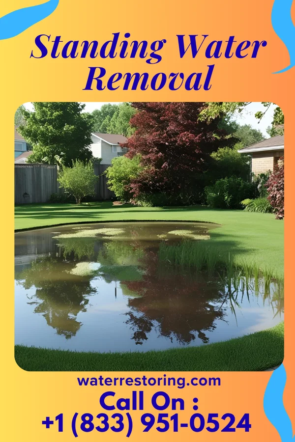 Standing Water Removal in Cottonwood, ID